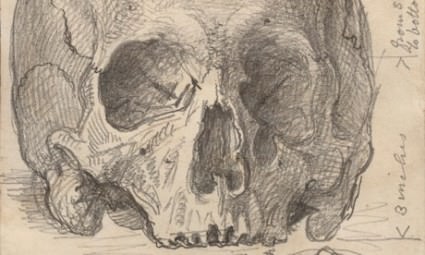A sketch of a skull found among the Richard II relics at the National Portrait Gallery Photograph courtesy National Portrait Gallery London