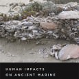 Codfish and Kings, Seals and Subsistence: Norse Marine Resource Use in the North Atlantic By Sophia Perdikaris and Thomas H. McGovern Human Impacts on Ancient Marine Environments, edited by Torben...