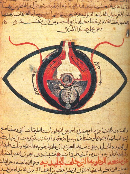 Anatomia do Olho de al-Mutadibih, 1200 dC