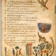 The later runic alphabets do, of course, follow the basic pattern of the earlier Germanic Fupark though considerably modified by the late eighth century, decreasing in the number of runes in Scandinavia whilst increasing in number in the runic alphabets of England.