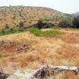 Remains of Crusader / Templar army discovered in Israel Archaeologists and historians working in northern Israel have discovered the remains of a Templar and Crusader army who were slaughtered by Saladin in one of the major battles of the...