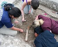 Medieval plough discovered - photo courtesy University of Reading