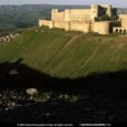 The role of castles in the political and military history of the Crusader States and the Levant 1187 to 1380 This thesis deals with the various functions of Latin and Armenian fortifications in Cilician Armenia, Greece, Cyprus, Syria and Palestine between 1187 and c.1380.
