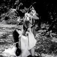 US company gets right to remake Kurosawa films Splendent Media has signed a multiyear deal to represent worldwide rights (outside Japan) to 69 titles from filmmaker Akira Kurosawa, including 19 screenplays that were never produced. Kurosawa, who considered...