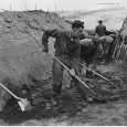Digging Ditches in Early Medieval Europe By Paolo Squatriti Past and Present, Vol.176:1 (2002) Introduction: In the Royal Frankish Annals the year 793 is an odd one. In the ﬁrst...