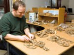 "For me it was a great challenge to identify the remains and reconstruct individuals bone by bone," osteoarchaeologist Dr. Sean Denham says. Photo: Terje Tveit - photo courtesy University of Stavanger