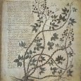Medieval French literature provides the modern researcher with references to the healing arts in many passages that are incorporated into prose or poetic works.