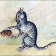 The aim of this dissertation is to establish the role of the feline in the medieval society of the North Atlantic region. The work is being undertaken, primarily because of the apparent lack of information that currently exists in this field of potential study