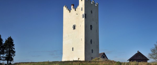'Grantstown Castle is one of the finest, most spectacular renovations of this kind that she has ever encountered in the sale of Irish Castles. The precision of work, attention to historical detail, and overall elegance in presentation is a delight to behold. Prepare to be enchanted.'