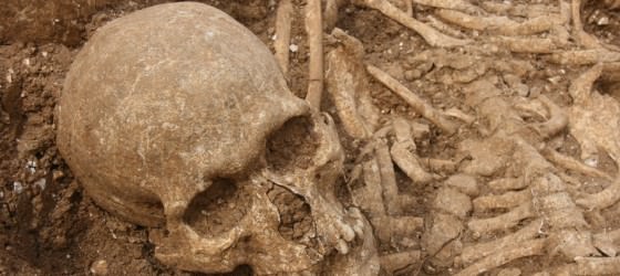 A mass grave found in Dorset could belong to a crew of Viking mercenaries who terrorised Europe in the 11th century – according to a new documentary on National Geographic which pieces together the story behind the burial.