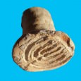 The tiny stamp was used to identify baked products and it probably belonged to a bakery that supplied kosher bread to the Jews of Acre in the Byzantine period.