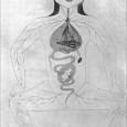 Diseases specifically aﬀecting women that are discussed in medieval Arabic literature largely concern the reproductive organs, complications before and after childbirth, lactation, and child-rearing. 