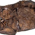 Story behind Faddan More Psalter discovery told at John Rylands Library As the first medieval manuscript ever found in a wetland environment, the Faddan More Psalter is one of the most remarkable archaeological discoveries ever made.