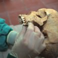 A new project is underway to analyze population, life, health and culture of the people that lived in the German-Danish border land during the Middle Ages (AD 1050 – 1536).