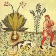 Others, however, began to wonder whether the possession of roots might not bring them success in other areas as well—wealth, popularity, or the power to control their own and other people's destinies, and took to wearing them as good luck charms.