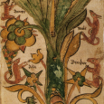 This thesis explores tree symbolism as interpreted from a selection of Old Norse poetic and prose mythological sources. 