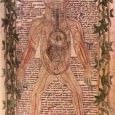 Why All the Fuss about the Body? A Medievalist’s Perspective erhaps some help is to be found in the usual scholarly move of sur- veying the literature. What does the phrase mean in the rapidly increas- ing number of books with the body in the title-an increase only too apparent to anyone who walks these days into a bookstore?