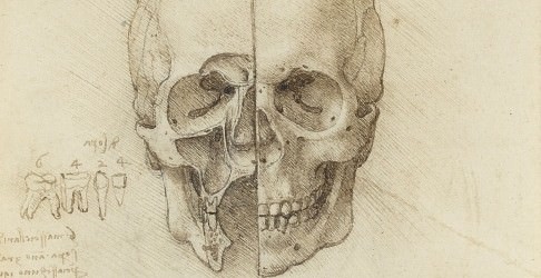 Leonardo da Vinci’s ground-breaking studies of the human body are to go on display in the largest-ever exhibition of his anatomical work.