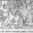 The Squirrel Fur Trade in 14th Century Novgorod Bulgar-on-the Volga was the first documented trade center which channeled fur from Northern Europe to the rest of the world.