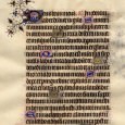 The Importance of Being English: A Look at French and Latin Loanwords in English This essay examines twenty six synonym pairs in English, looks at their etymology and briefly explains where they come from and how they work in a sentence.