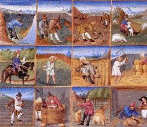 Agricultural calendar from a medieval manuscript