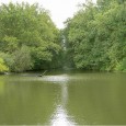 Beside the intention of Charlemagne to build a continuous waterway network for his extensive travels, there are two more possible reasons for connecting the river systems of Main and Danube.