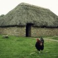 The medieval peasant house in Bohemia – continuity and change The archaeologically resolved theme of the medieval peasant house can be divided into three developmental areas, an understanding of which has various groundings, while yielding diverse results.