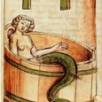 The amount of research into the field of medieval monsters has been growing within the past few decades, but the monster has not always been accepted as a worthwhile topic of serious study