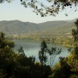 This article presents the possibilities offered of building a History, in this case of the Middle Ages, that considers the relations people have had with the natural spaces and ihe urban environment where their lives have developed.