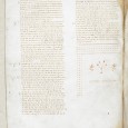New Testament from the oldest complete Bible available online for the first time The New Testament volume from one of the British Library’s most valuable treasures, Codex Alexandrinus, has been made available online for the first time on the British Library’s website.