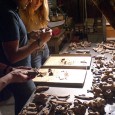 A multidisciplinary project seeks to understand the environmental impact of the Baltic Crusades. Horses, for example, aided the Christians in battle, while the castles the Crusaders built decimated forests.