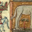 Avorio d’ogni ragione: the supply of elephant ivory to northern Europe in the Gothic era Why, after a scarcity of elephant ivory in northern Europe during the twelfth century, was there sudden access to such large tusks around 1240?