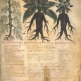 Horticulture and Health in the Middle Ages: Images from the Tacuinum Sanitatis The relationships between plants and health have been and continue to be of great concern for humankind considering both diet and medicinal uses.