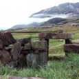 Greenland’s Viking settlers gorged on seals A Danish-Canadian research team has demonstrated the Norse society did not die out due to an inability to adapt to the Greenlandic diet: an isotopic analysis of their bones shows they ate plenty of seals.