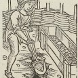 In those small backyards the monks planted various medical herbs from which drugs were gained and gathered to provide the monastery and the sick of the neighbourhood with medicine. Every monk, in this way, was a doctor and pharmacist as well.