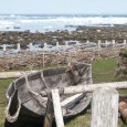 L’Anse aux Meadows was a ‘temporary base camp’ for the Vikings in North America, study finds A new study of the archaeological remains from the only confirmed Viking settlement in North America argues that it was never meant to be a long-term settlement. It is also very likely that it was the home to at least one Norse woman.