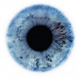 New DNA test can determine eye and hair colour from people who lived in the Middle Ages A team of researchers from Poland and the Netherlands have developed a system that is able to answer what the hair and eye colour is from individuals who lived over 800 years ago.