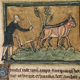 The Heavy Plough and the Agricultural Revolution in Medieval Europe This research tests the long-standing hypothesis, put forth by Lynn White, Jr., that the adoption of the heavy plough in northern Europe led to increased population density and urbanization