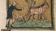 The Heavy Plough and the Agricultural Revolution in Medieval Europe This research tests the long-standing hypothesis, put forth by Lynn White, Jr., that the adoption of the heavy plough in northern Europe led to increased population density and urbanization