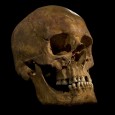 It is Richard III: ‘beyond reasonable doubt’ DNA and other evidence show that the remains of Richard III have been found. 'We have searched for Richard and found him. Now it is time to honour him,' says Philippa Langley