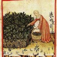 Making Good Scents: Fragrance in the Middle Ages and Renaissance If asked to imagine the smell of the medieval world, most people would probably crinkle their nose in disgust. The Middle Ages have a reputation for being one of the smelliest periods in history.