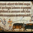 Manure and the medieval social order Taking examples from the open fields of England, it is argued that peasants used manure to differentiate their holdings from those of the lord, and by so doing helped to defne both space and their own social identity.