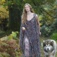 Vikings – Review of Episode 9: All Change The season finale of Vikings - an angry wife, a decimated village, a pregnant lover and treacherous brother.