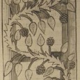 Rubus Pharmacology: Antiquity to the Present This short article presents only a sample of the wealth of historical reports of medicinal uses for Rubus.