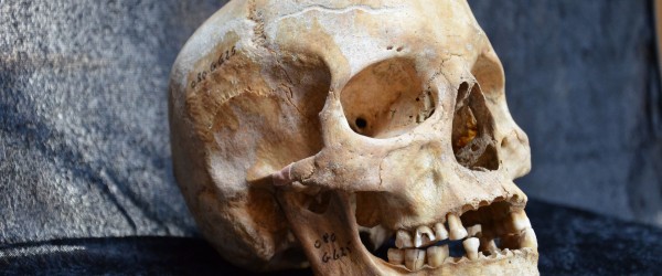 Why was there a sudden drop in the incidence of leprosy at the end of the Middle Ages? 
