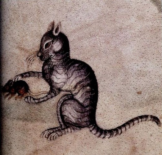 medieval cat