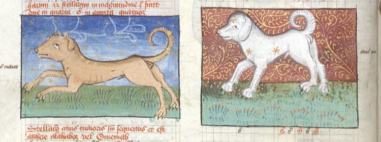 Miniatures of Canis Maior (Larger Dog) and Canis Minor (Smaller Dog), in tables from Ptolemy's Almagest.