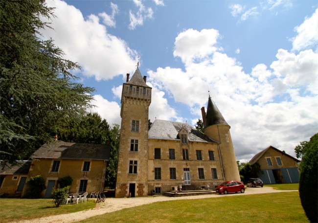 chateau for sale