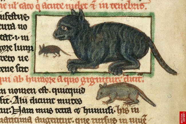 medieval cats