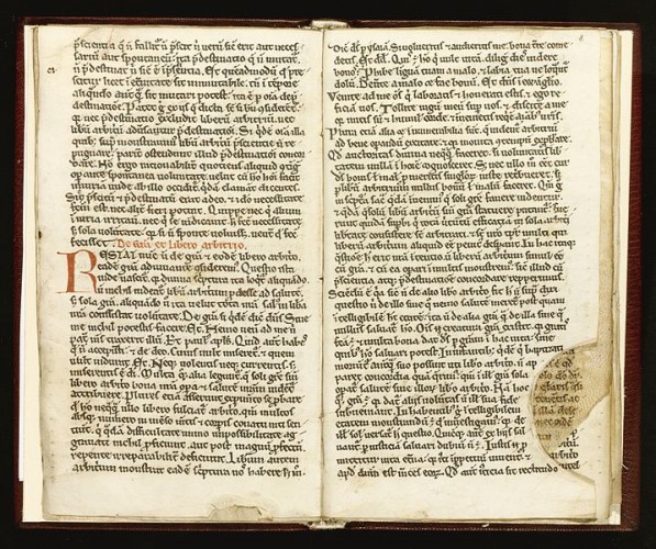 Medieval French manuscript
